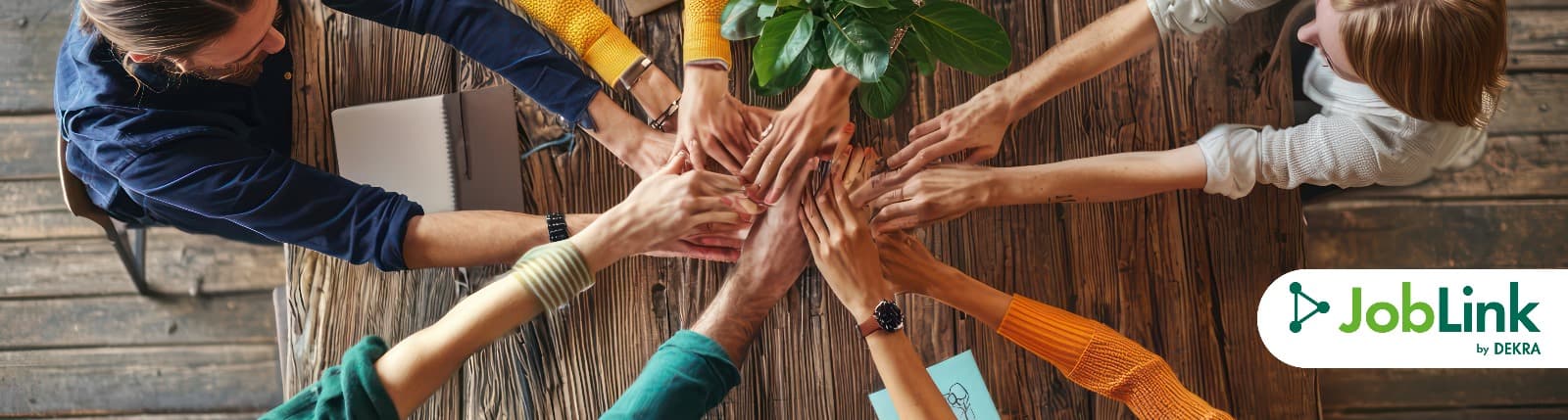 Психологија на релациите во работната средина: што не зближува, а што не оддалечува